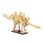 CaDA Dinosaur Fossils: Stegosaurus - 297 pcs C59012W - Image 6