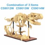 CaDA Dinosaur Fossils: Triceratops - 272 pcs C59013W - Image 4