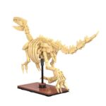 CaDA Dinosaur Fossils: Velociraptor - 256 pcs C59014W - Image 5