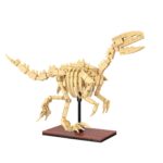 CaDA Dinosaur Fossils: Velociraptor - 256 pcs C59014W - Image 4