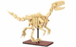 CaDA Dinosaur Fossils: Velociraptor - 256 pcs C59014W - Image 7