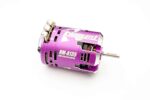 Reve D Absolute 1 Drift Brushless Motor PURPLE 13.5T RM-A135P