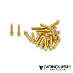 Vanquish M2x8mm Forged Scale Steel GR8 (20) VPS01712