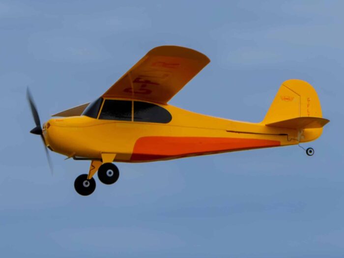 Hobby Zone Champ Anniversary Special Edition 515mm RTF with SAFE HBZ04900 - Image 6