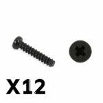 FTX Tracer Pan Head Self Tapping SCrews Pbho2.6*12mm FTX9754