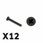 FTX Tracer Pan Head Self Tapping SCrews Pbho2*12mm FTX9755