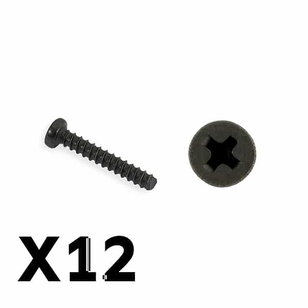 FTX9755 FTX Tracer Pan Head Self Tapping SCrews Pbho2*12mm FTX9755 - Image 1
