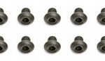Team Associated Bhcs 2.5X0.3mm Screws (10) AS89201