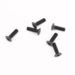 FTX Flat Head Hex M3*10 5P FTX6536