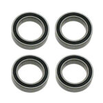 HoBao 10 X 15mm Bearings (4) H224066