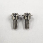 Reve D Super Precision Machine Cut Titanium Servo Screw (2pcs) RT-001A