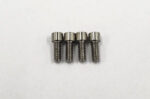 Reve D Super Precision Machine Cut Titanium M2 x 5mm Cap Screw (4pcs) RT-004