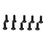 Team Losi Racing Flathead Screws, M3 x 10mm (10) TLR5962