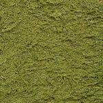 Tamiya Texture Paint - Grass Green 87111