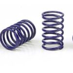 Xray Spring-Set D=1.7 (25 Lb) C=3.6 Black (4) XR308386