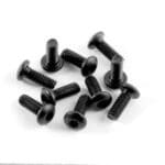 Xray Hex Screw Sh M4X10  (10) XR902410