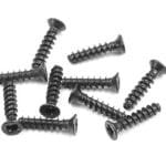 Xray Screw Phillips Fh 2.2X10  (10) XR906210