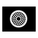 Arrowmax Super Diff Gear 48P 80t AM648080